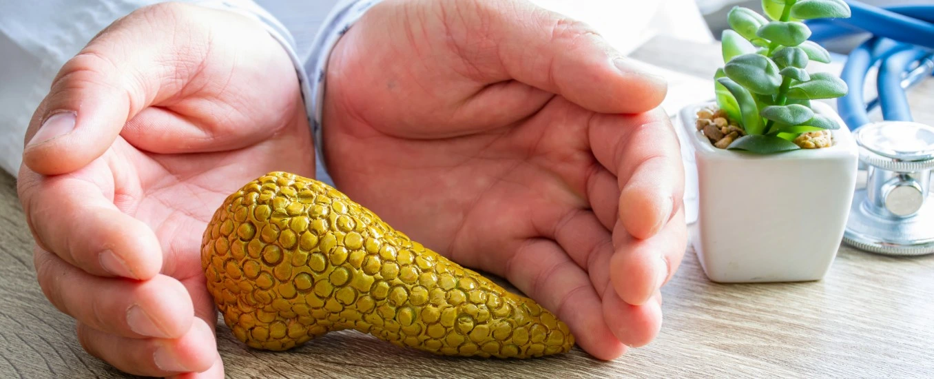 Here are things you should know about living without a  pancreas. 