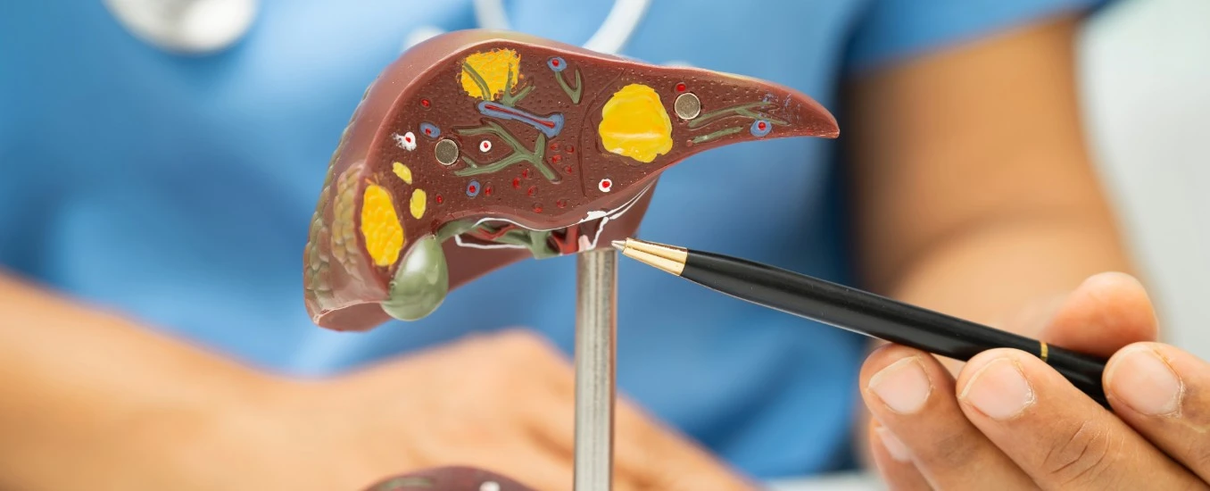 Here's how Vitamin E can be helpful for your liver health.