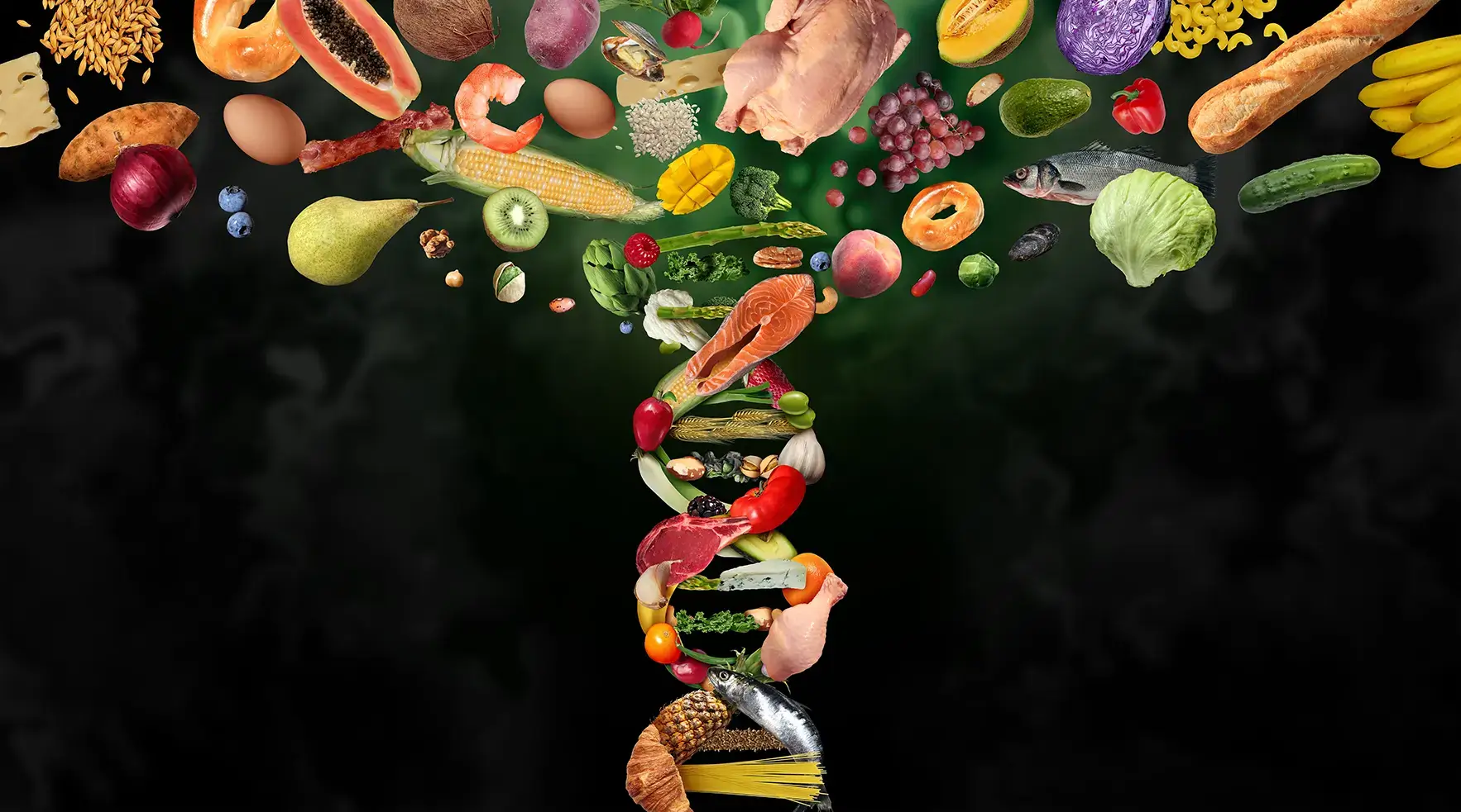 Read this if you are wondering how your body breaks down food.